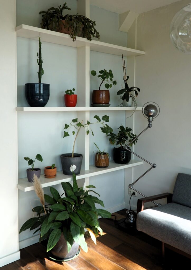 plantenstellage van multiplex